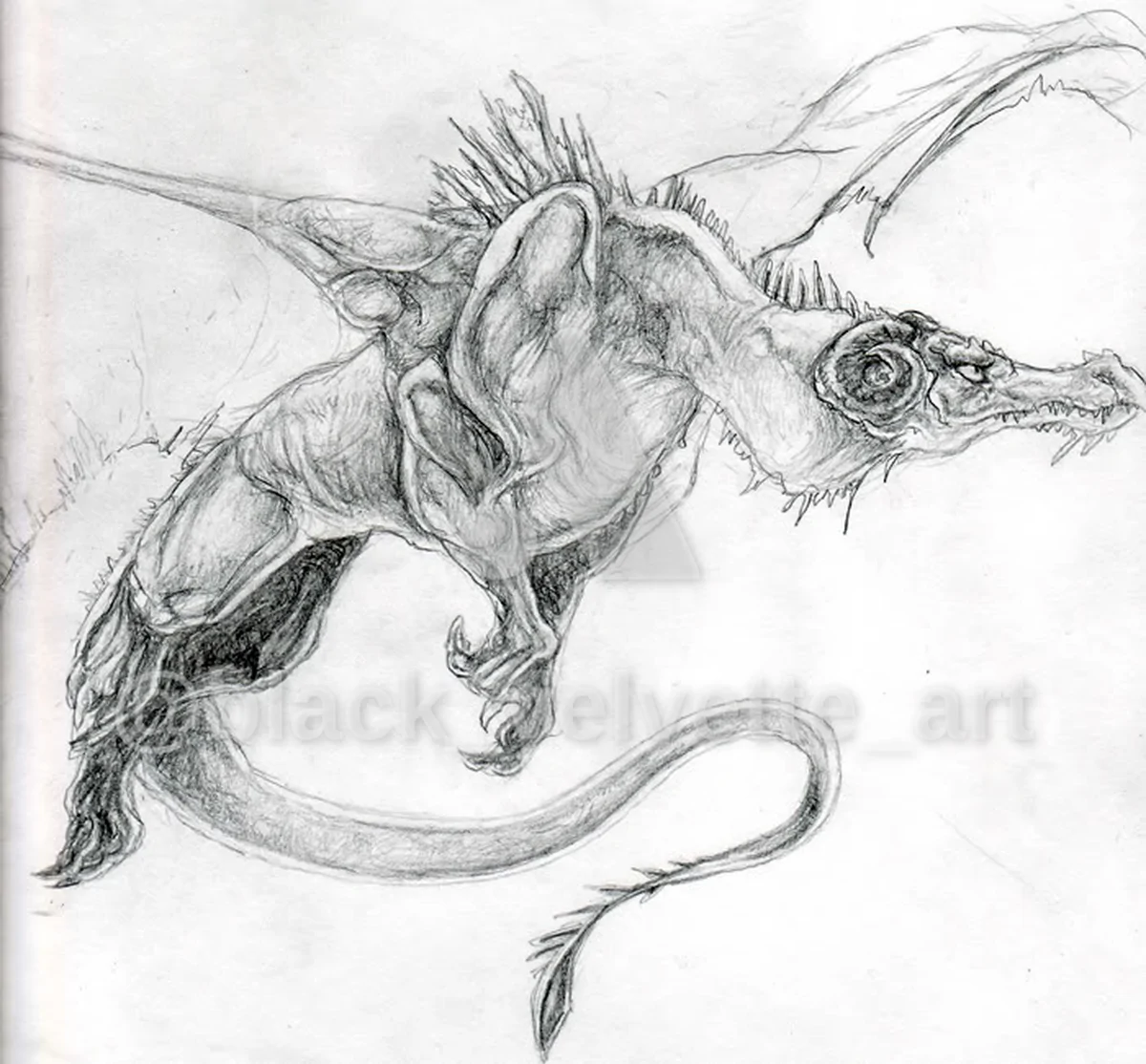 Dragon Flight - 2005 - Pencil Sketch - artwork by black_velvette_art