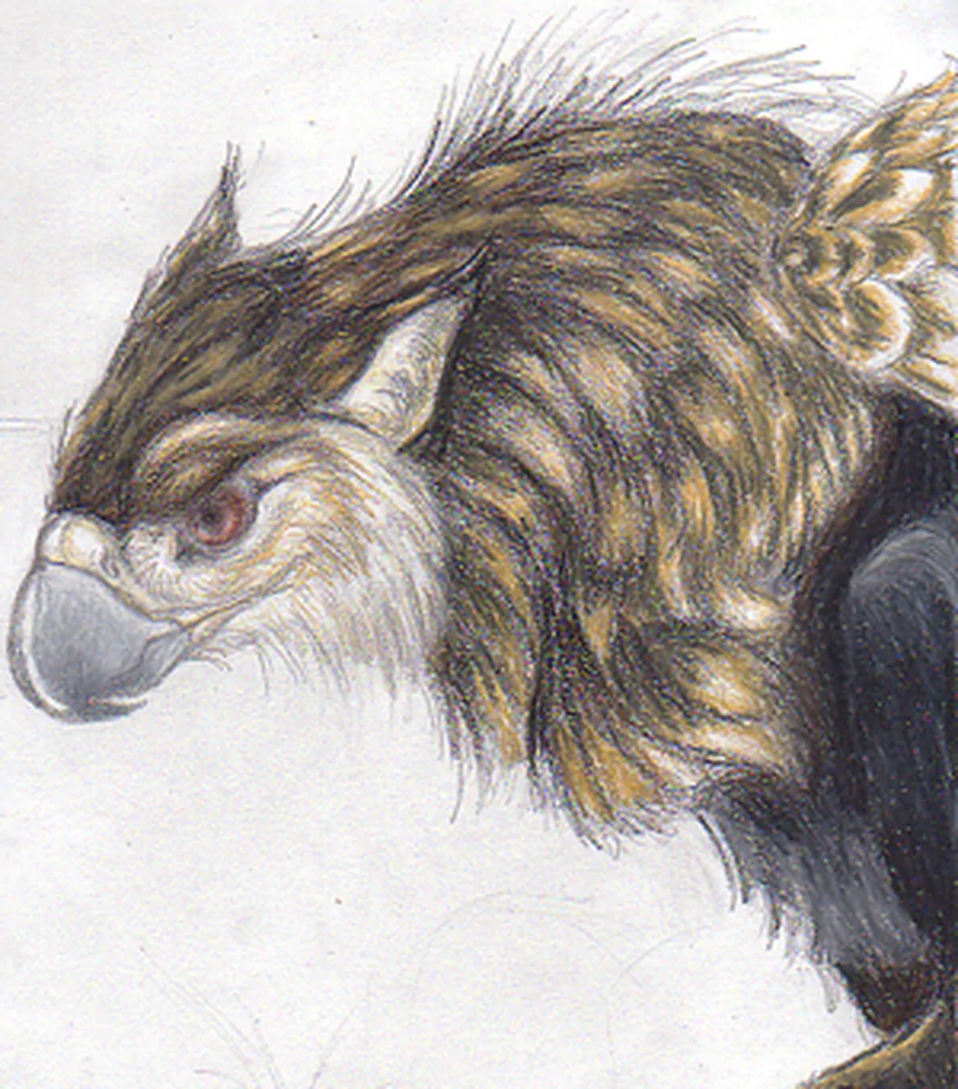 Black and Gold Gryphon, Colored Pencil, 2004-5? - artwork by black_velvette_art