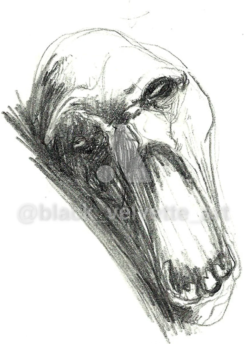 Scream, 2009 - artwork by black_velvette_art