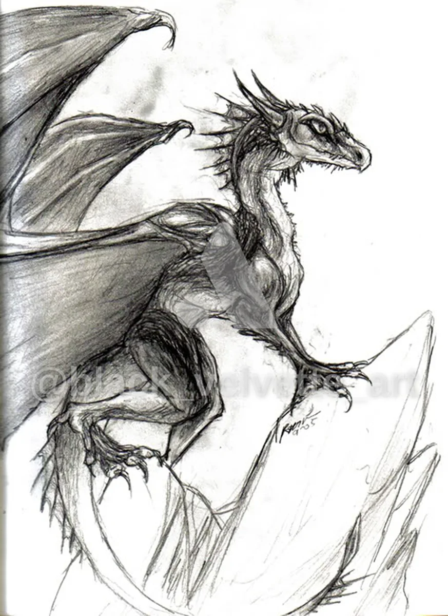 The Fledgeling - September 2005- Pencil - artwork by black_velvette_art